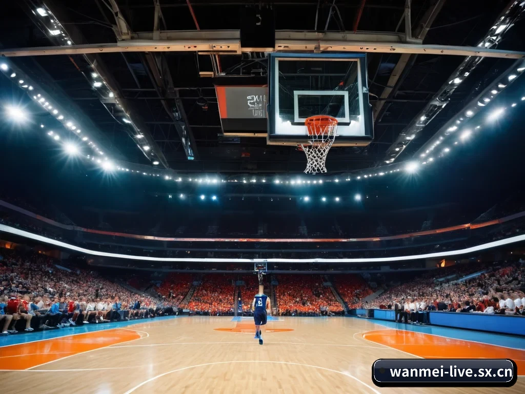 完美体育 APP 界面（wmsports）